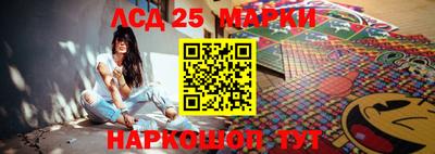 гидропоника Будённовск
